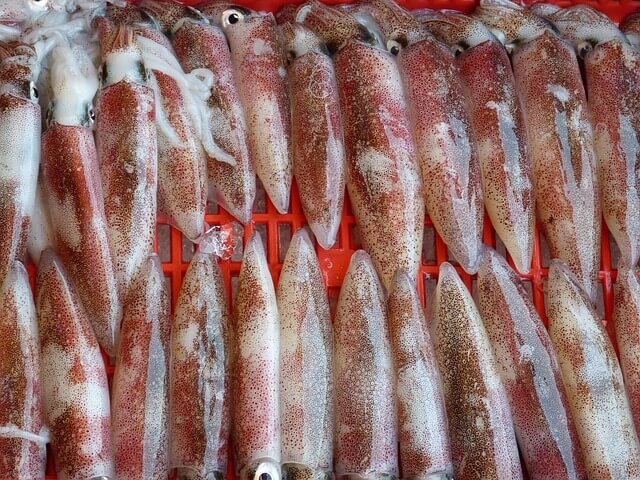부산 수산물 최대 50%할인 이마트 홈플러스 전통시장 쿠폰까지 ~4월 21일