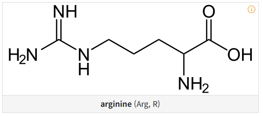 아르기닌 효능