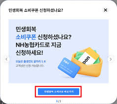 민생소비쿠폰농협체크카드18