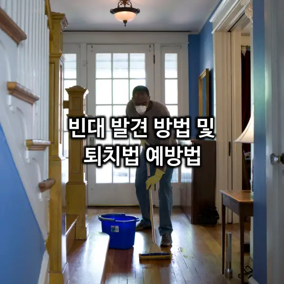 빈대 발견 방법 및 퇴치법 예방법