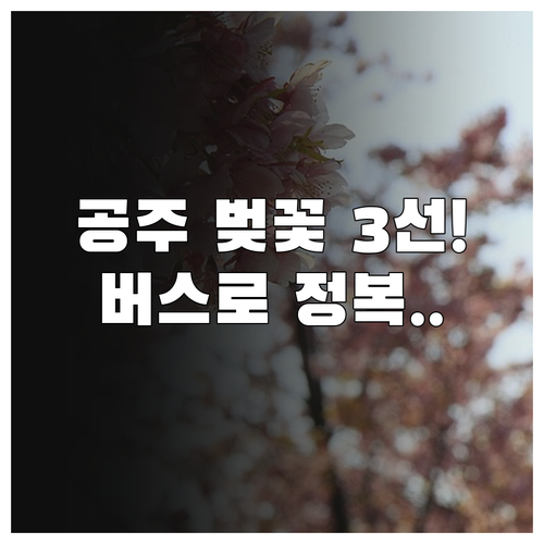 공주 벚꽃 명소 베스트 3 추천과 대..