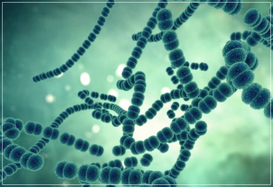 사타구니 백선 치료법 3가지 추천.