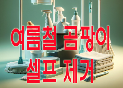 여름철 곰팡이 셀프 제거