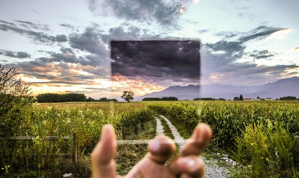 세상에 이런 동물이? 희귀하고 놀라운 생물들