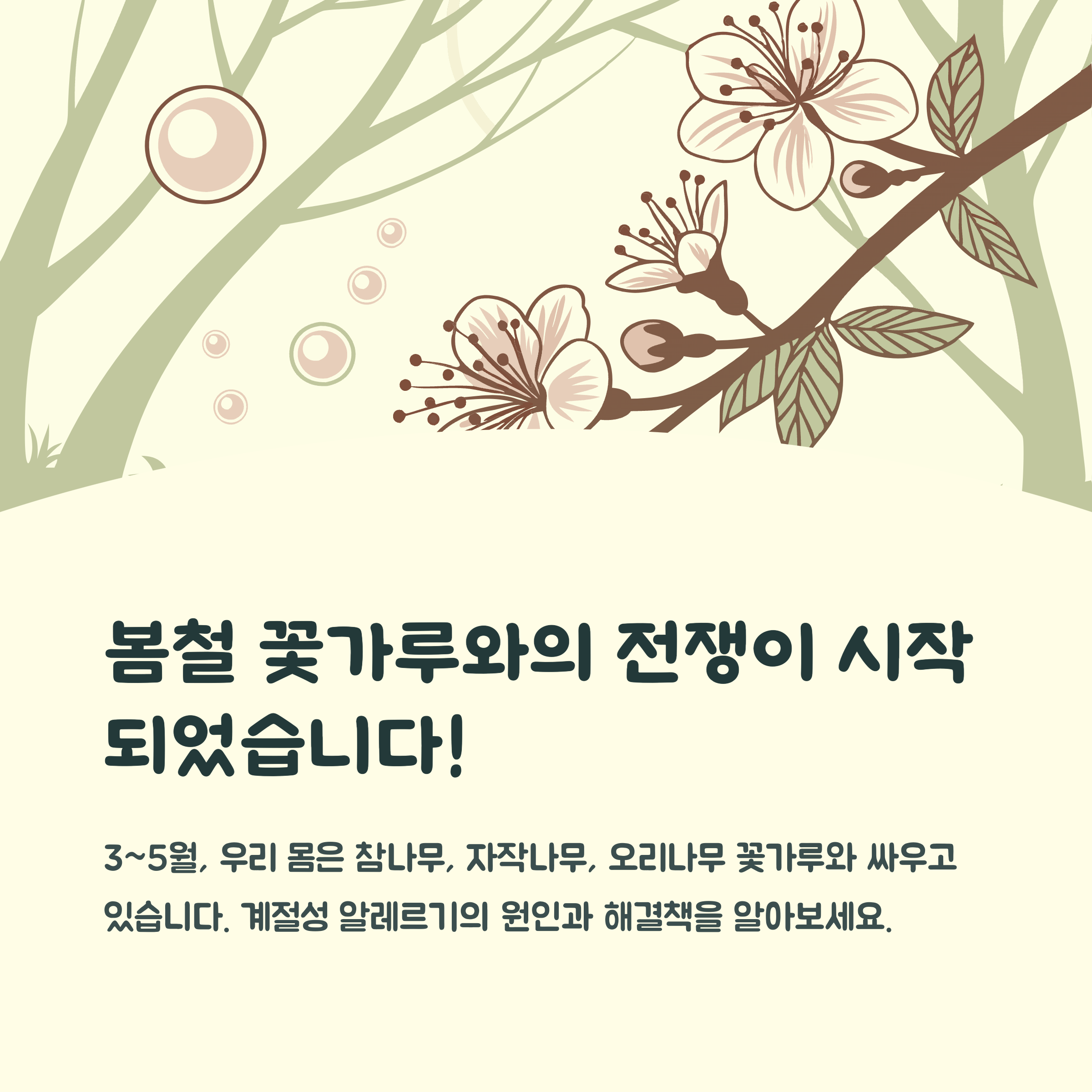 봄철 꽃가루 알레르기, 예방부터 대처까지 한방에!