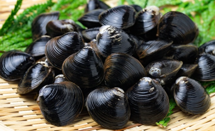 재첩 요리 관련 사진