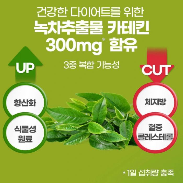 체다컷 내돈내산 후기 부작용 효능 복용법 가격 다이어트 효과