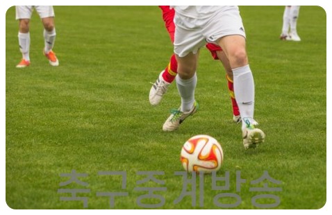 한국-쿠웨이트-축구-중계-방송-3