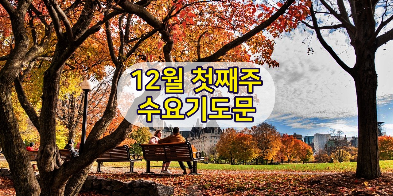 12월 첫째 주 수요예배 대표기도문