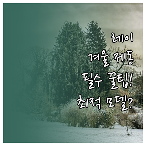 겨울철 레이 제동력 확보 윈터 타이어..