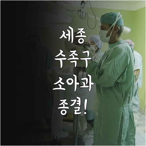 세종시 수족구 소아과 추천 리스트와 ..