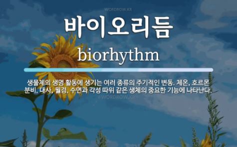 혼자 관리 vs 부부 관리 (바이오리듬, 건강, 지속력)