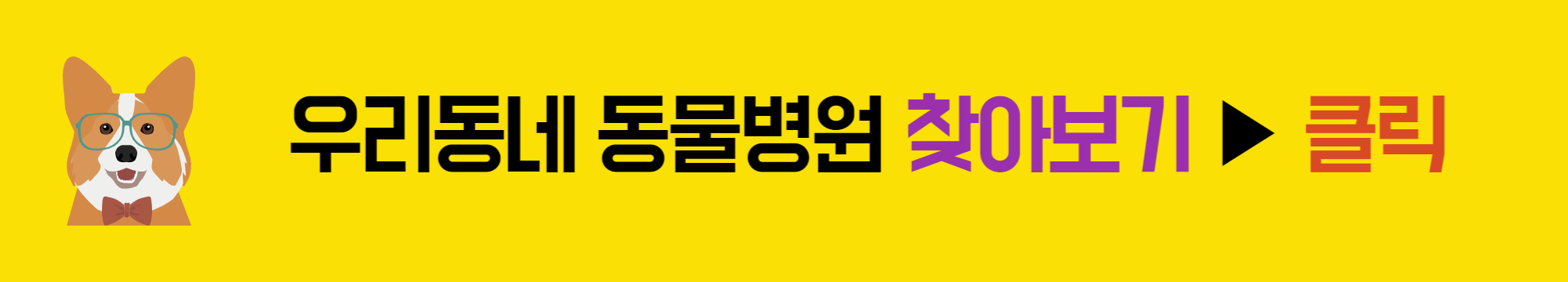 반려동물 의료비 지원 신청방법