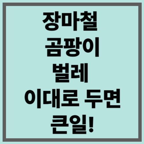 장마철 곰팡이·벌레, 이대로 두면 큰일!