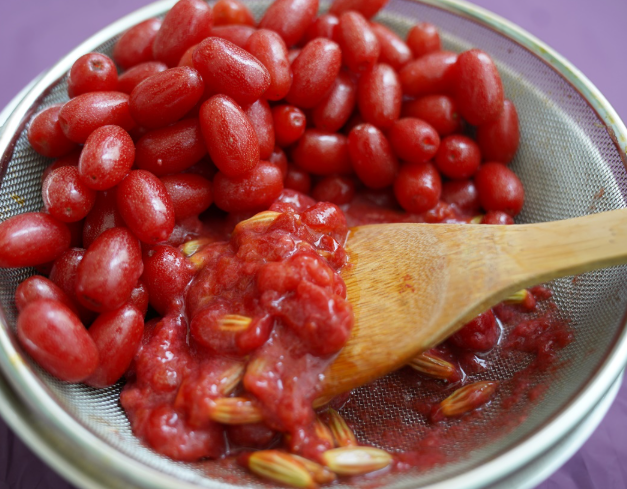 보리수열매 효능 부작용 먹는법 맛 가격 씨 수확시기 보관법 임산부 섭취1