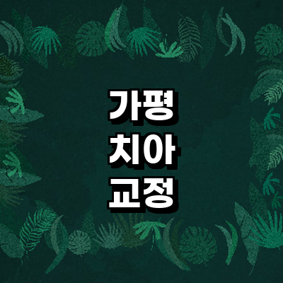 가평군 교정 치과