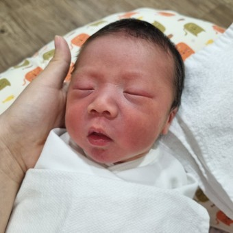 서울시 무주택자 출산시 주거비지원