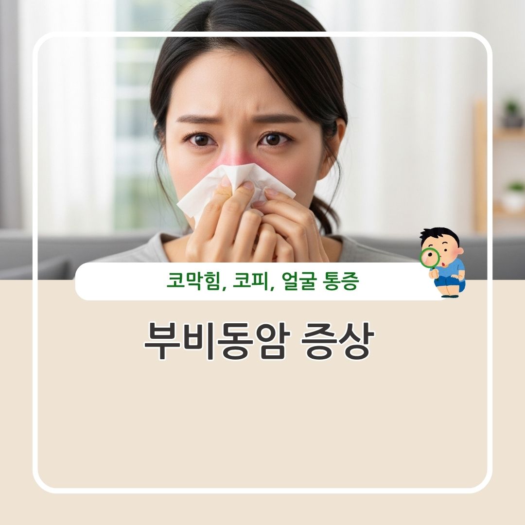 부비동암 증상 조기 진료 병원 검사 정리