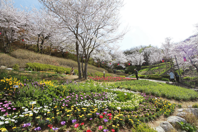 안산공원 순환 산책로