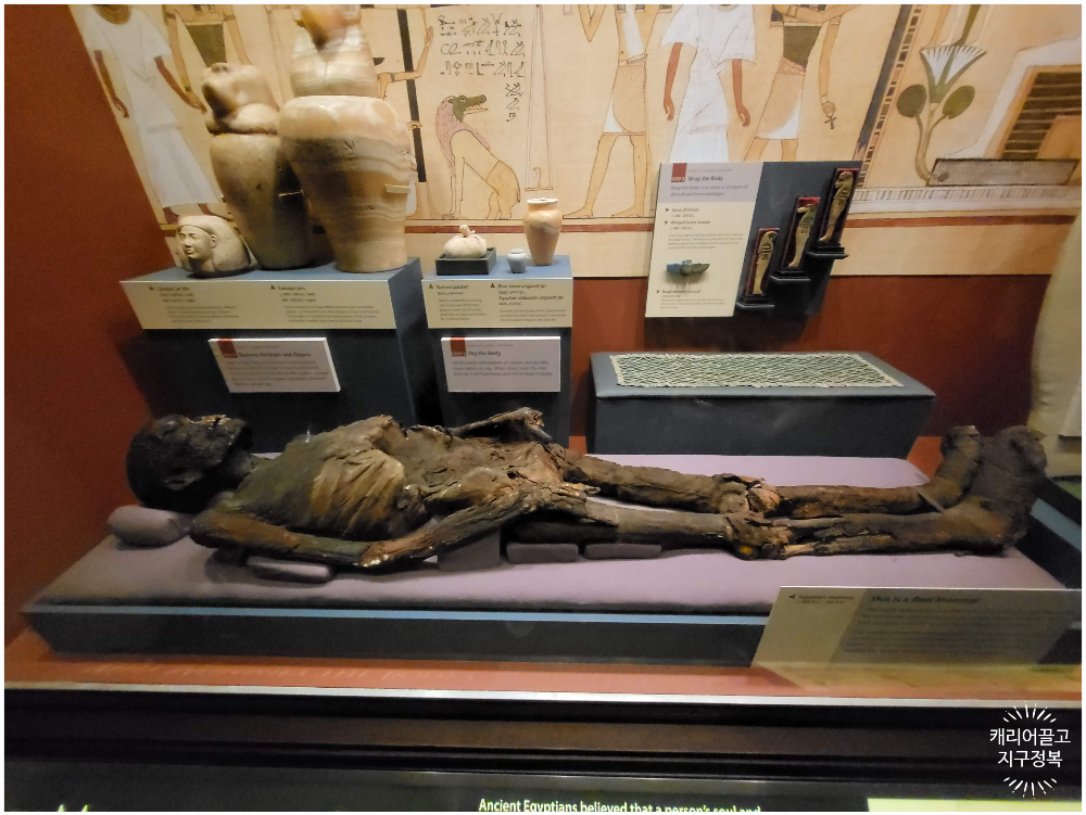 워싱턴 스미스소니언 국립 자연사 박물관