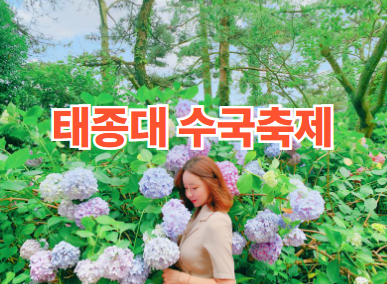 부산 태종대 수국축제