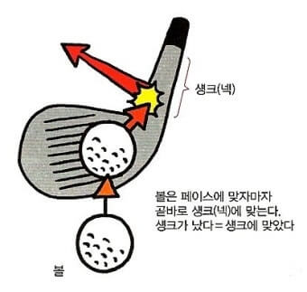 생크 방지