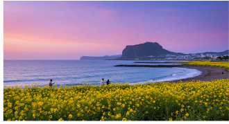 3월 국내 여행지 추천 – 봄을 만끽하는 최적의 여행지