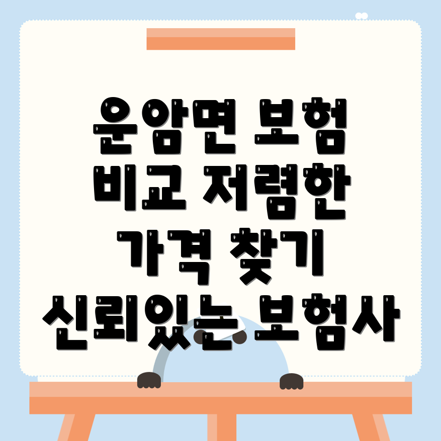 자동차보험 비교견적