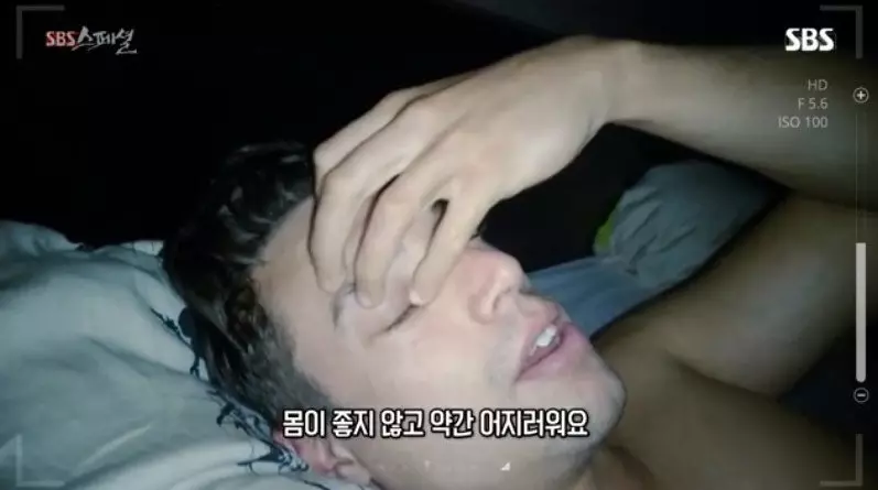 저지방 고탄수화물 식단
