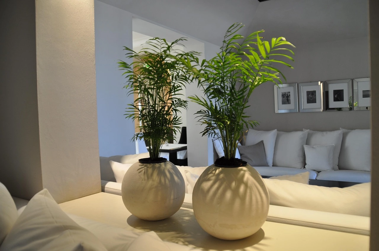 50대 여성 생일선물 추천