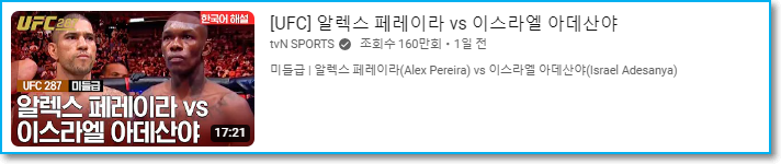 UFC 알렉스 페레이라 vs 이스라엘 아데산야