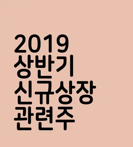 2019 상반기 신규상장 관련주