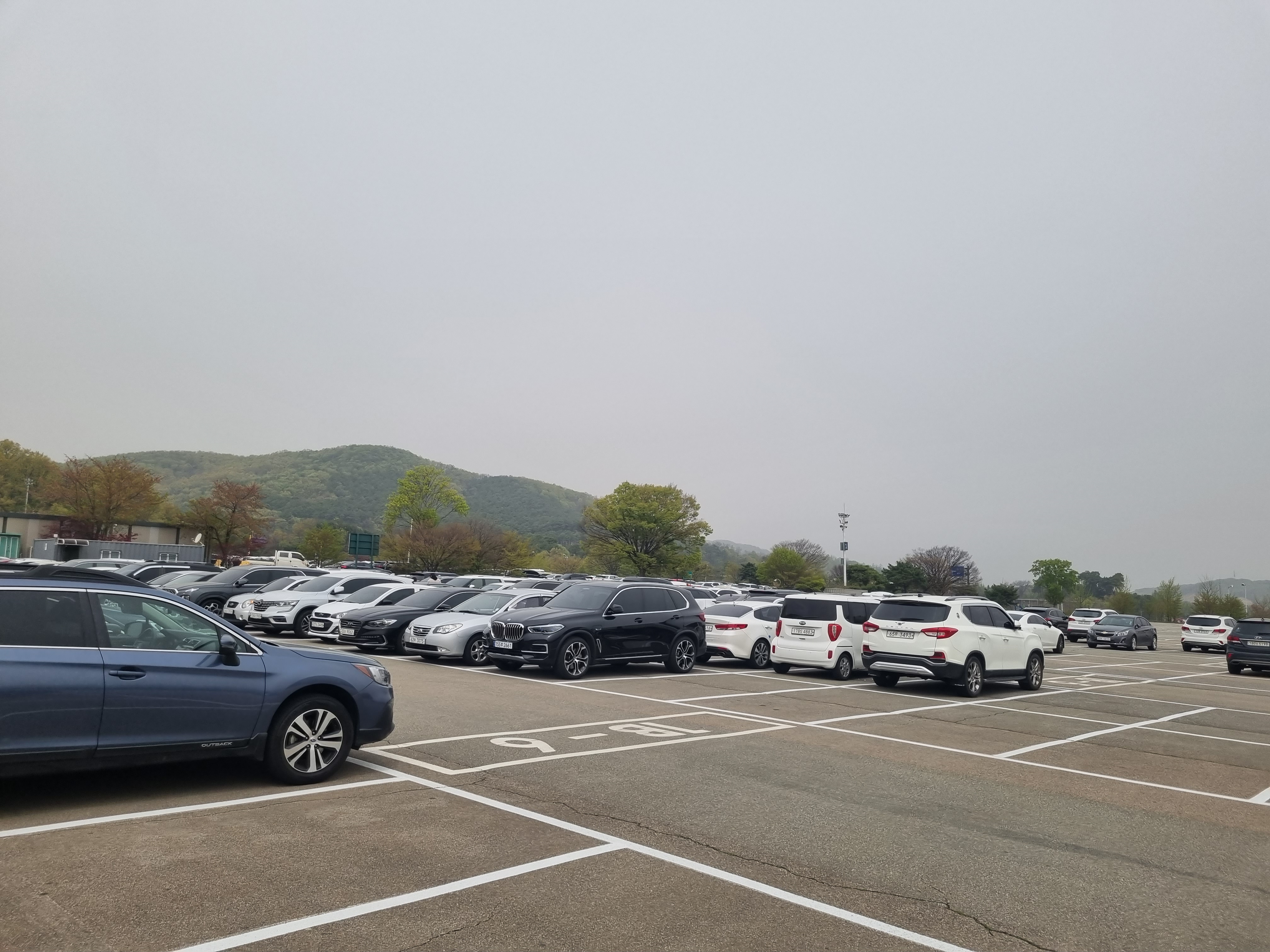 에버랜드 할인카드