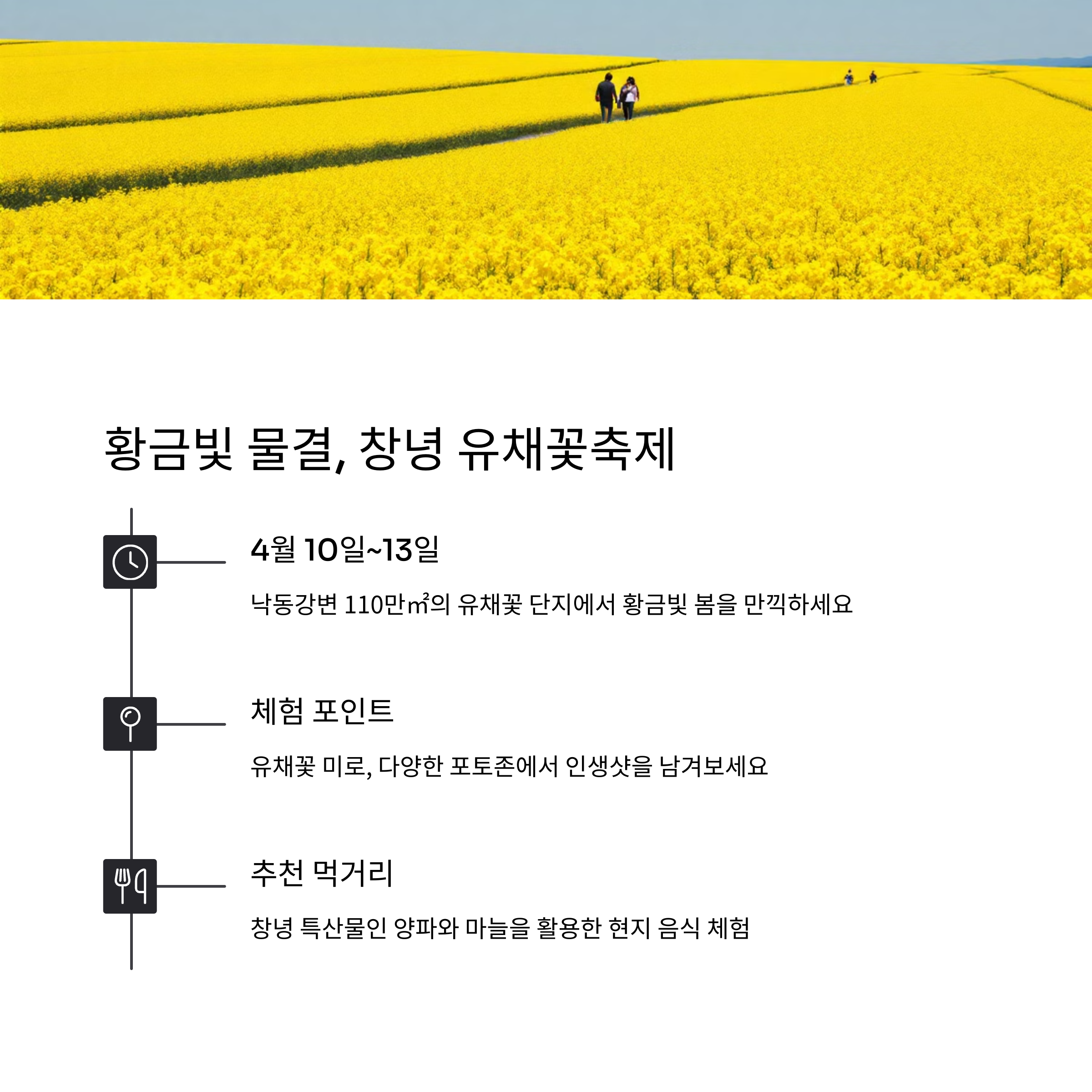 창녕 유채꽃축제