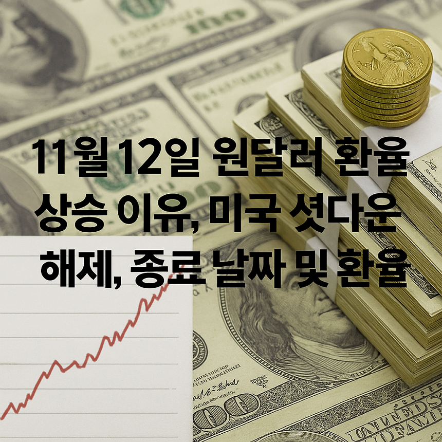 11월 12일 원달러 환율 상승 이유, 미국 셧다운 해제, 종료 날짜 및 환율 전망