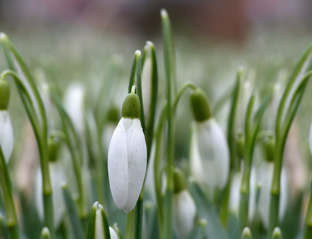 February