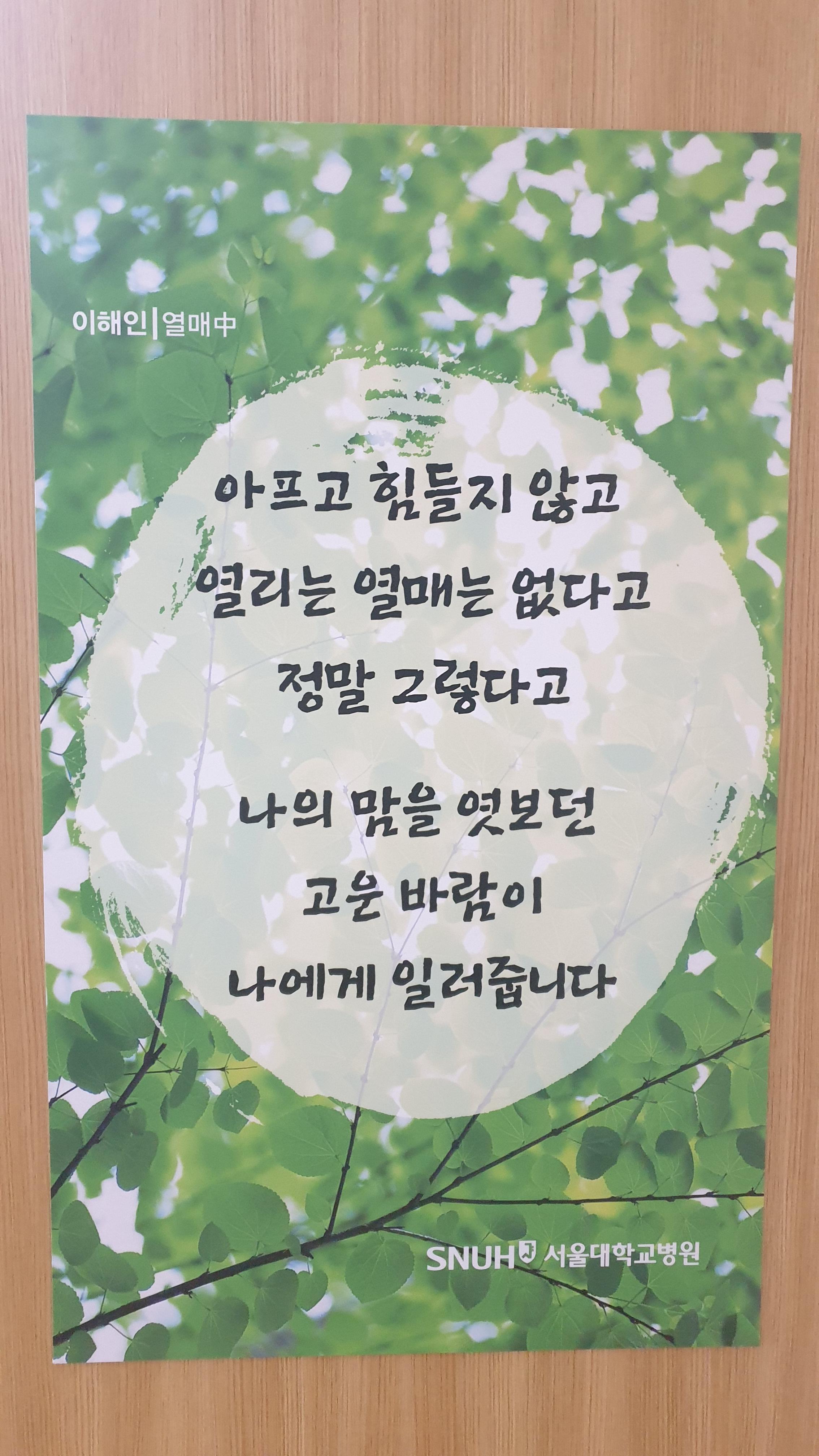 열매 (이해인)