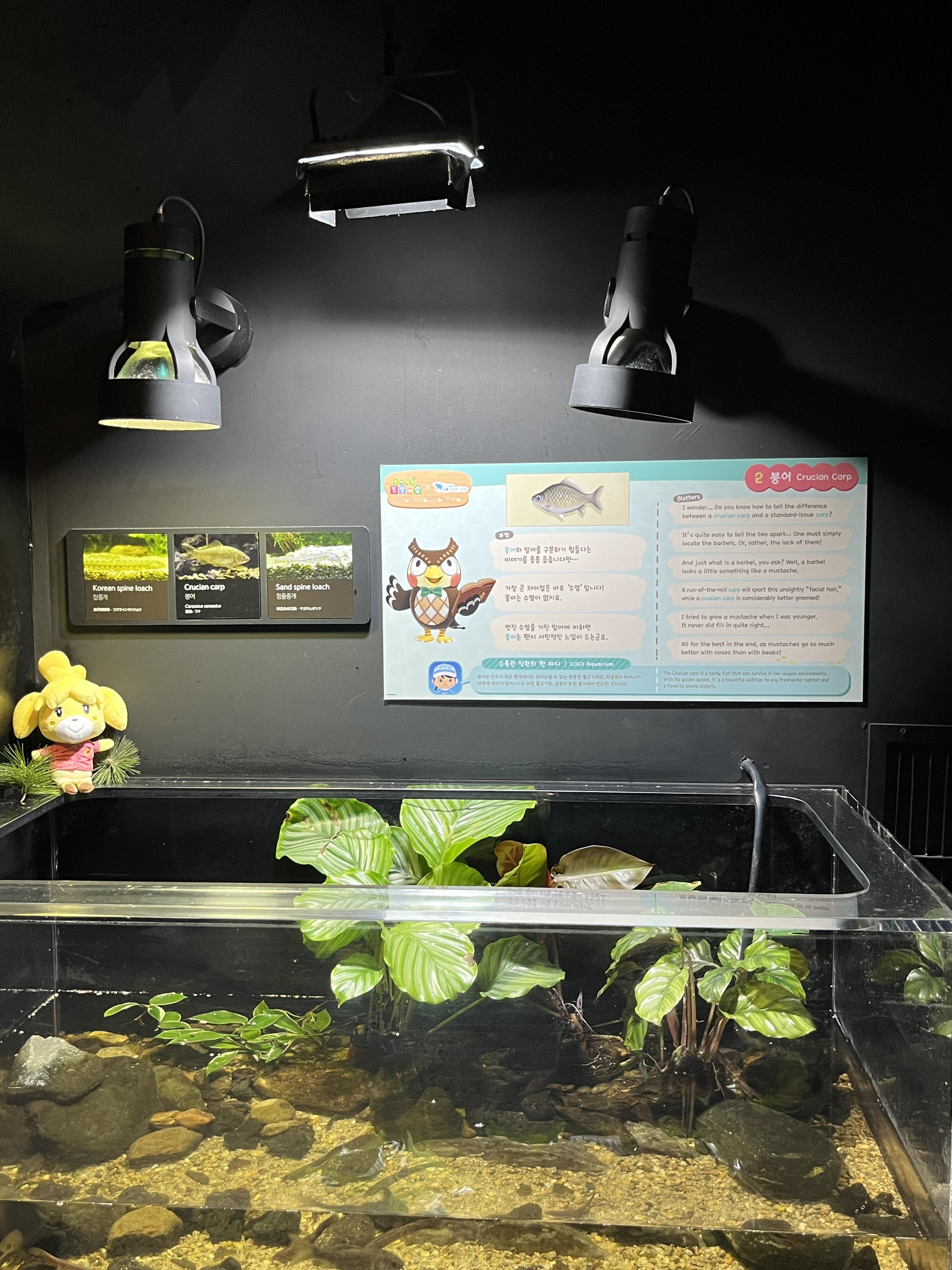 코엑스 아쿠아리움 동물의숲