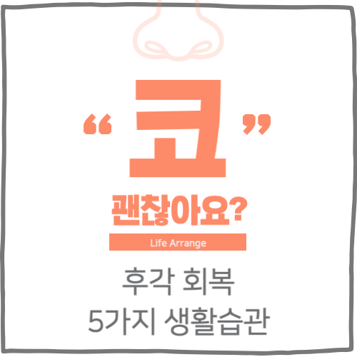 후각 회복 5가지 생활습관