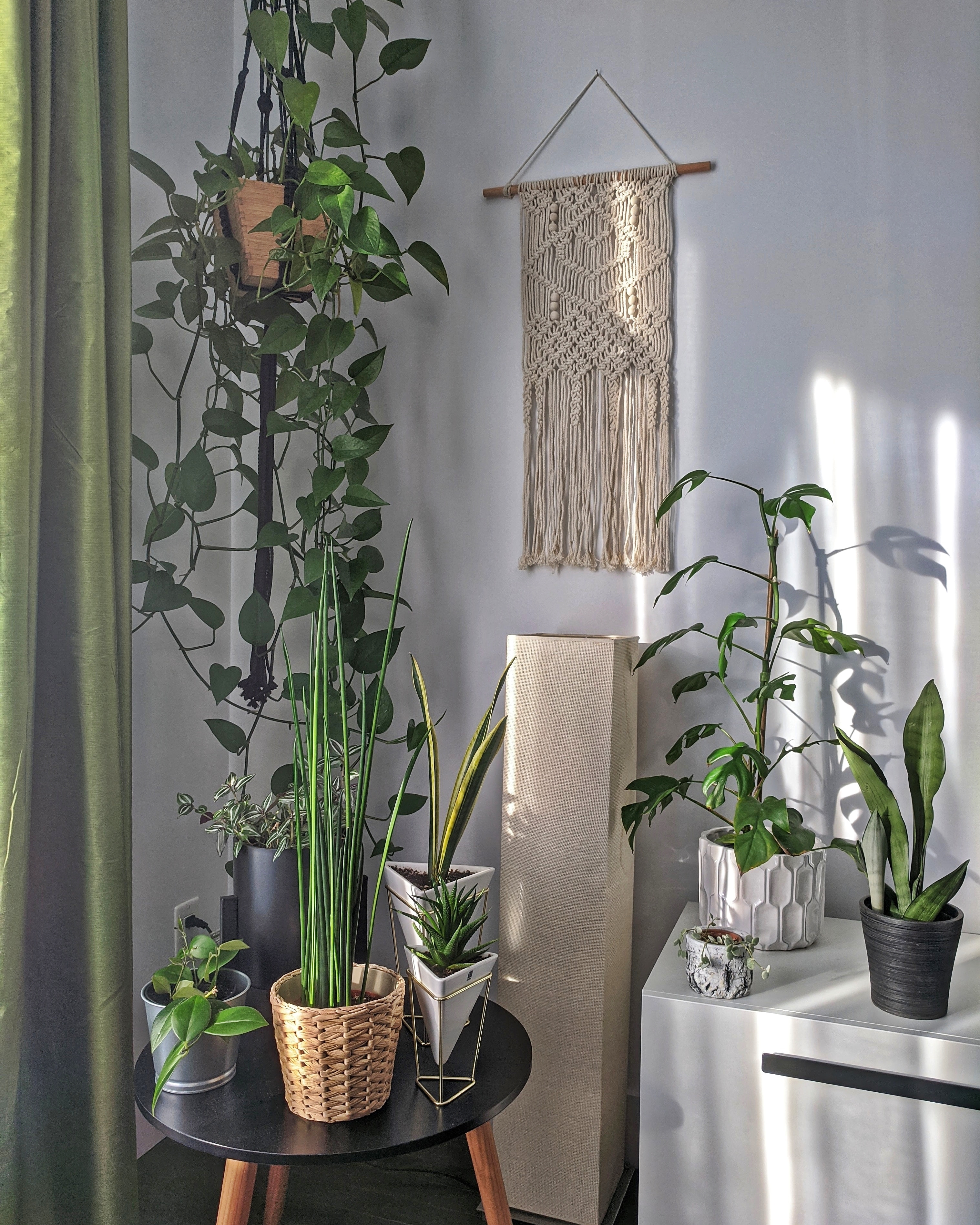 마크라메로 만든 공중화분