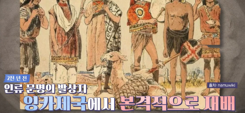 파바빈이란