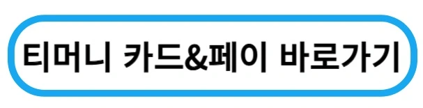 티머니카드엔페이바로가기