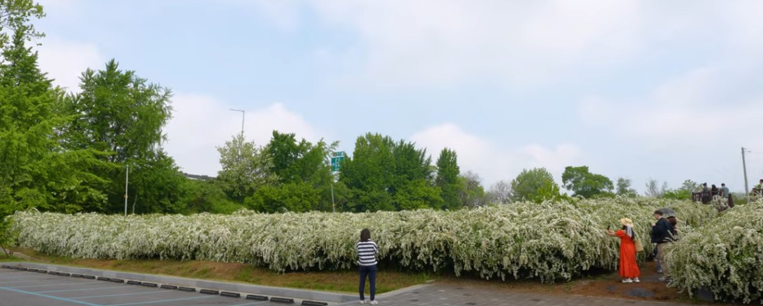 5월에 꼭 가봐야 할 적국 봄꽃 명소