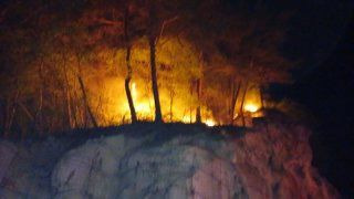 영월 산불발생: 무릉도원면 법흥리 야간 진화 상황 및 주민 대피 가이드 총정리