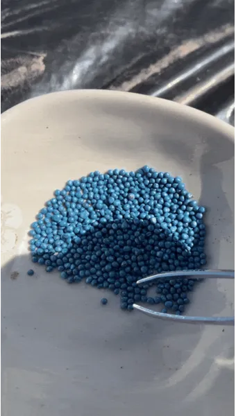 래디시 재배 직파 요령 솎아주기 토양 pH 맞추기_5