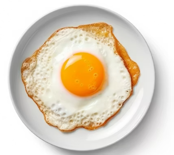 비타민D 많은 음식