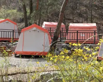 서울대공원 캠핑장_8