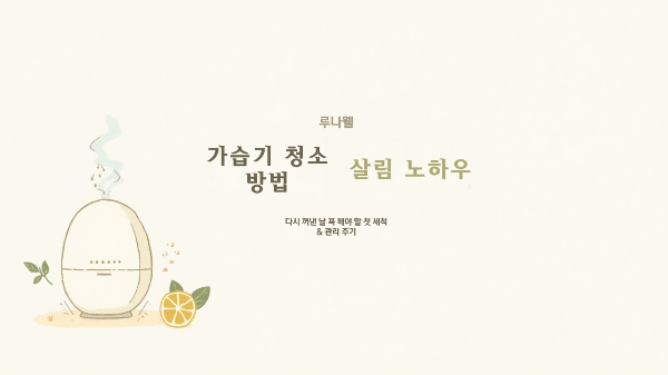 가습기 청소 방법 구연산 물때 제거