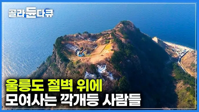 울릉도 배편 시간표 요금 예약 독도_2