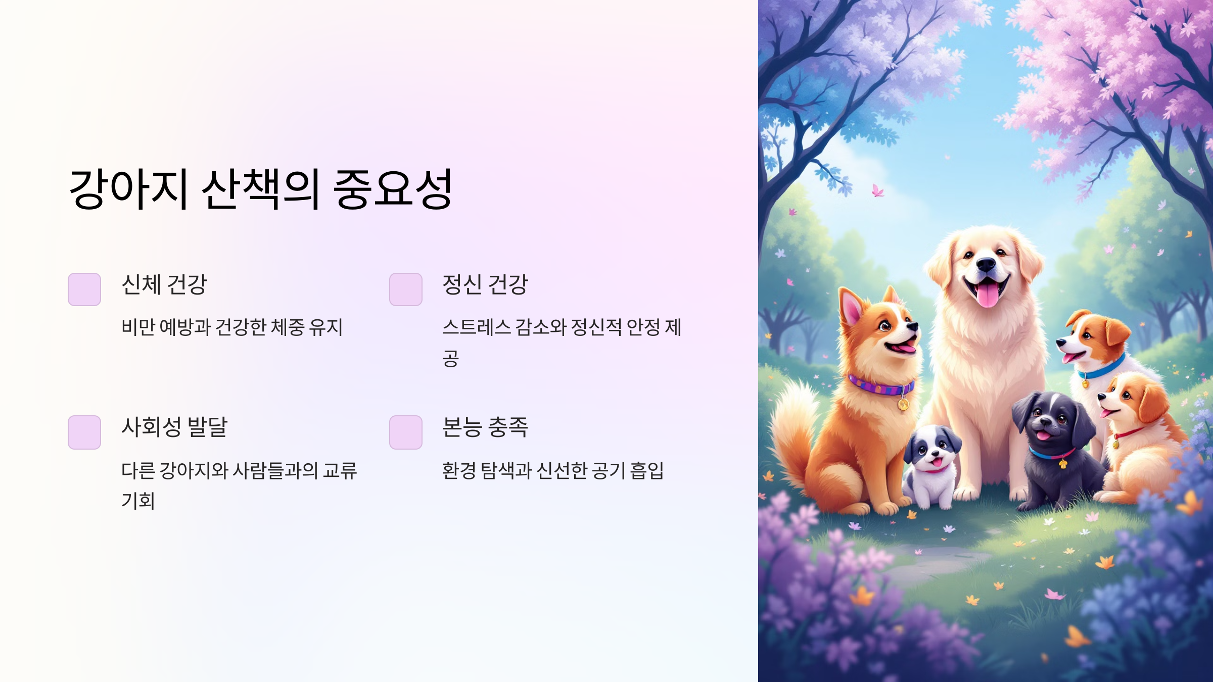강아지 산책의 중요성